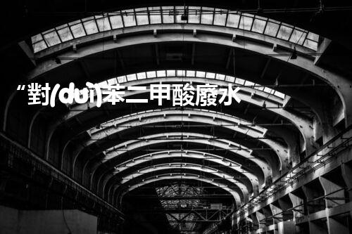 “對(duì)苯二甲酸廢水處理，綠色創(chuàng)新引領(lǐng)環(huán)保新篇章”